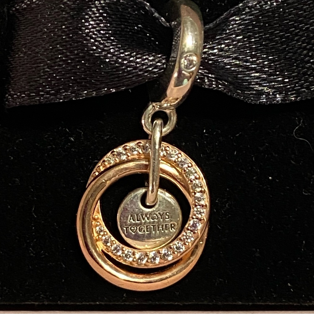 Pandora Family Always Encircled Dangle Charm